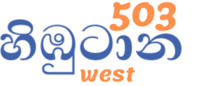 cropped 503.png